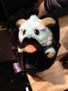 Poro-Draven